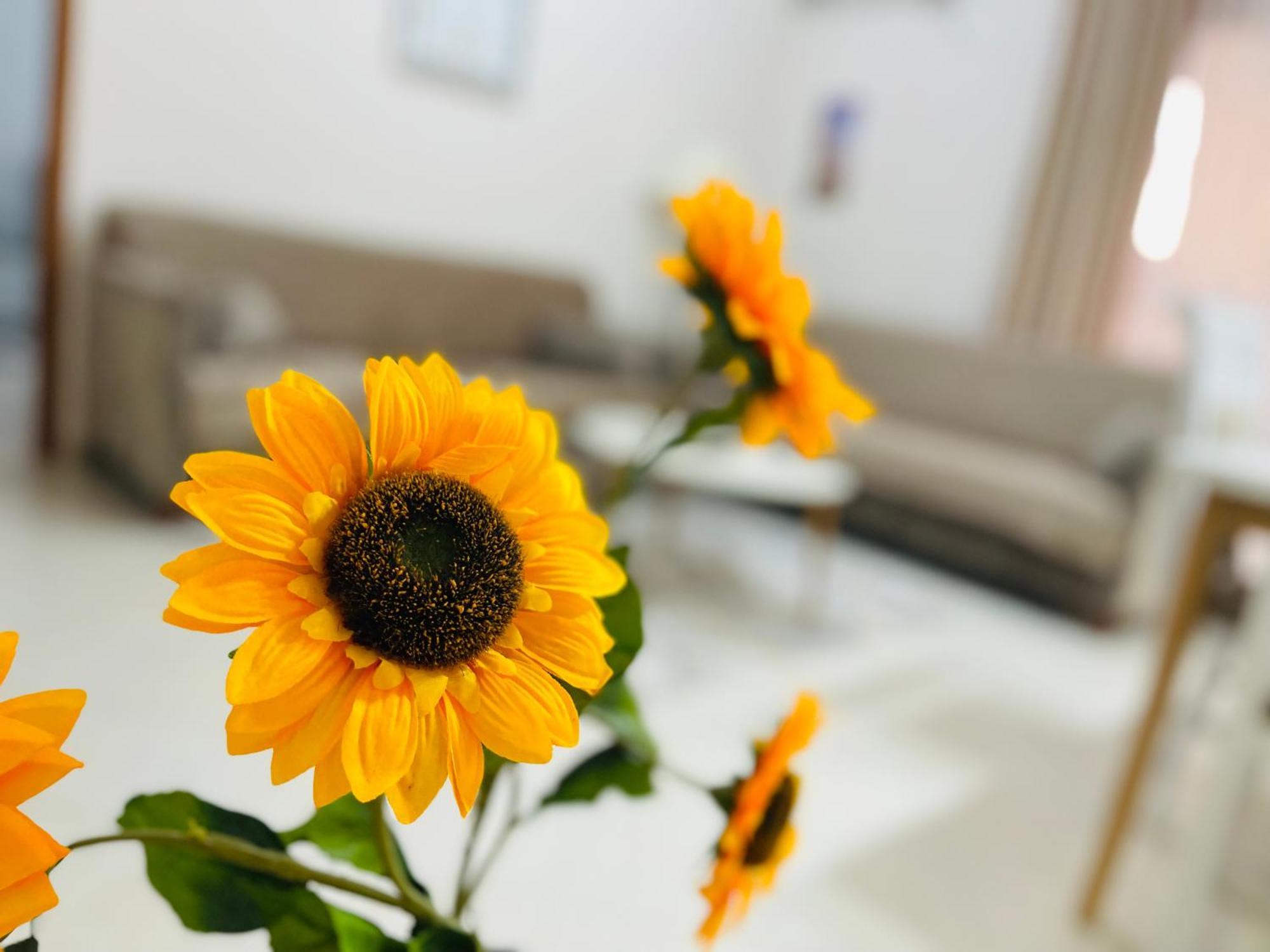 Albis Apartment 1 Тирана Екстер'єр фото